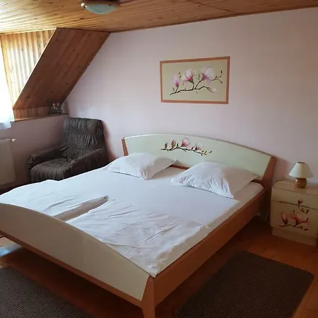 Pensiunea Bunea Guest house