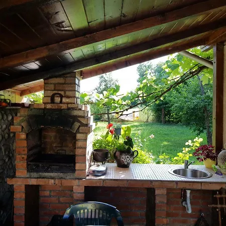 Guest house Pensiunea Bunea 3*